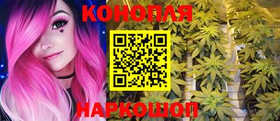 стаф Будённовск