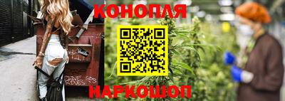 стаф Будённовск