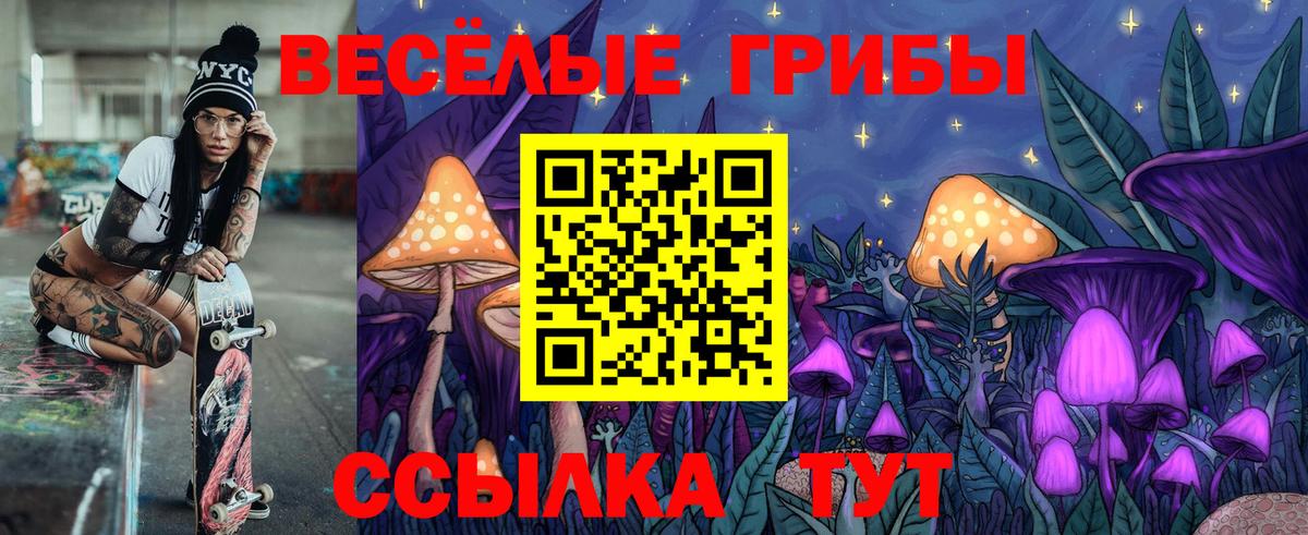 Псилоцибиновые грибы GOLDEN TEACHER Мирный