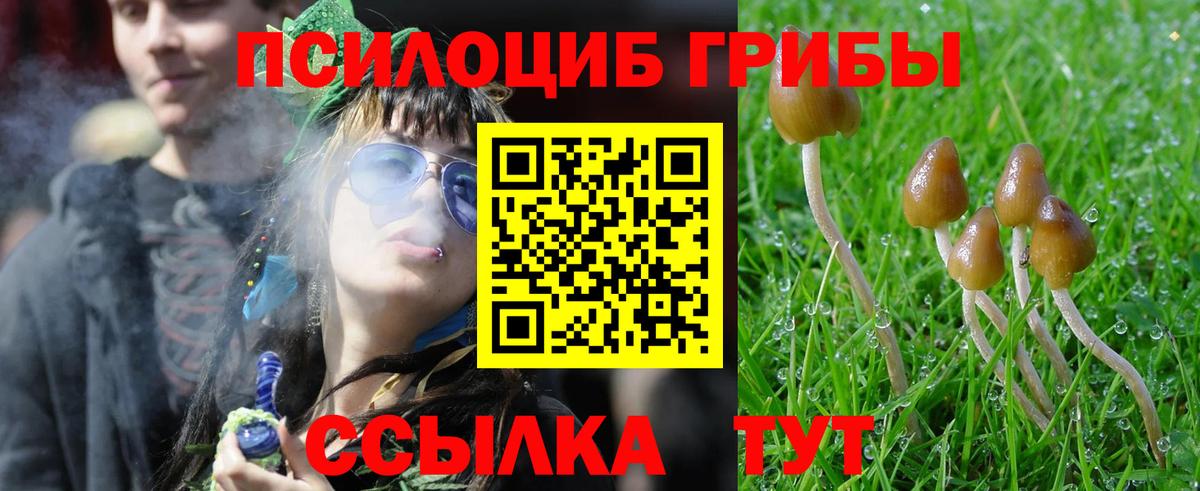 продажа наркотиков  Псилоцибиновые грибы мицелий  Вход с VPN  Мирный 